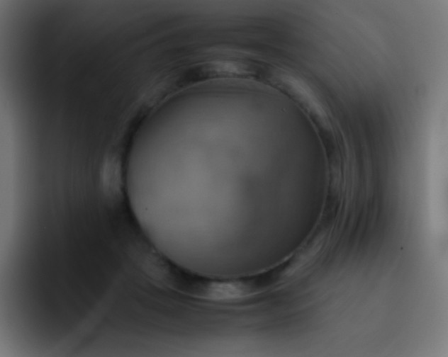 X0000093240457200710101425