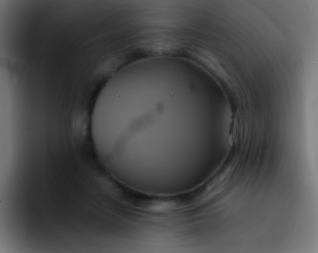 X0000093240458200710101425
