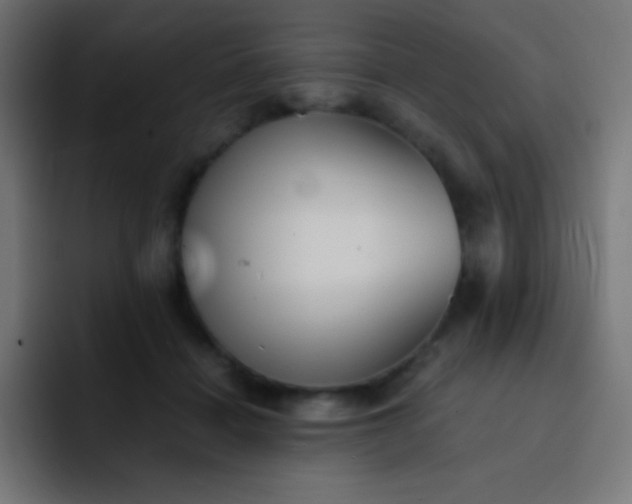 X0000093240460200710101425