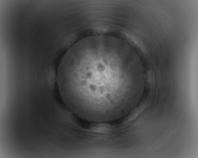 X0000093240463200710101425