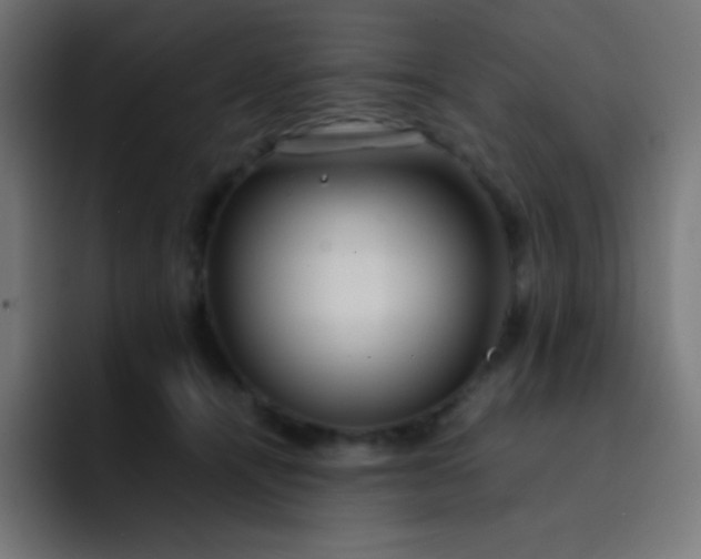 X0000093240464200710101425