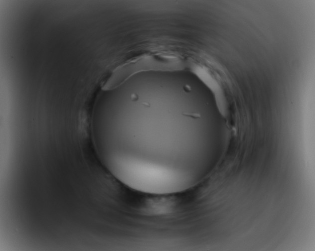 X0000093240465200710101425
