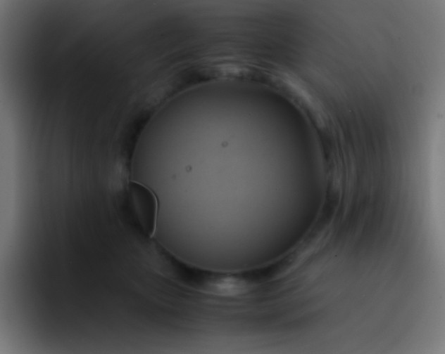 X0000093240467200710101425