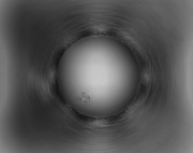 X0000093240468200710101425