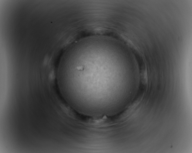 X0000093240472200710101425