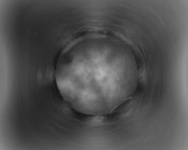 X0000093240474200710101425