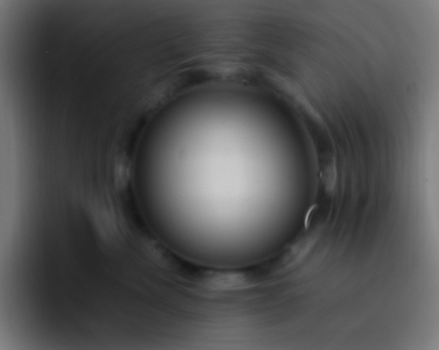 X0000093240476200710101425