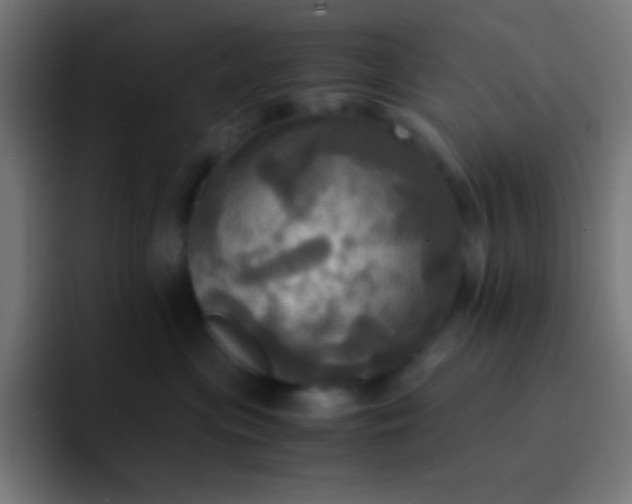 X0000093240477200710101425