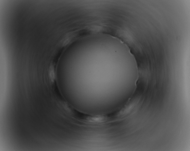X0000093240479200710101425