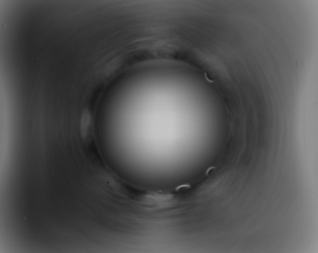 X0000093240480200710101425