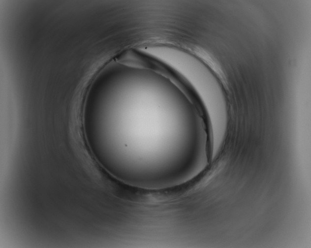 X0000093240481200710101425