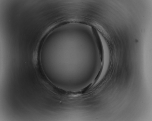 X0000093240484200710101425