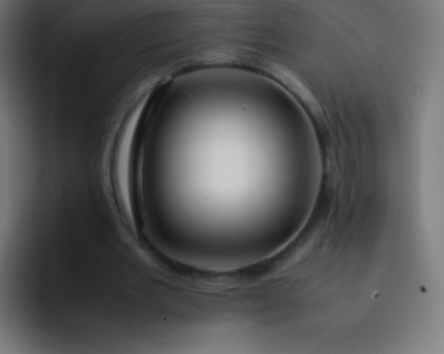 X0000093240485200710101425