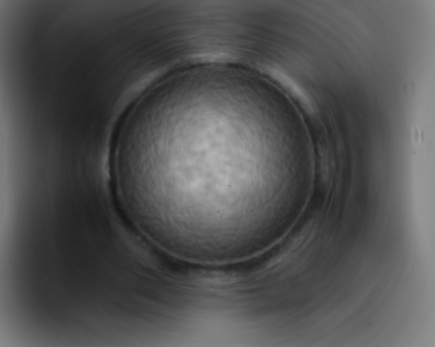 X0000093240486200710101425