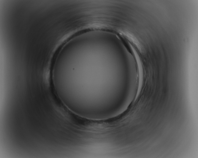 X0000093240488200710101424