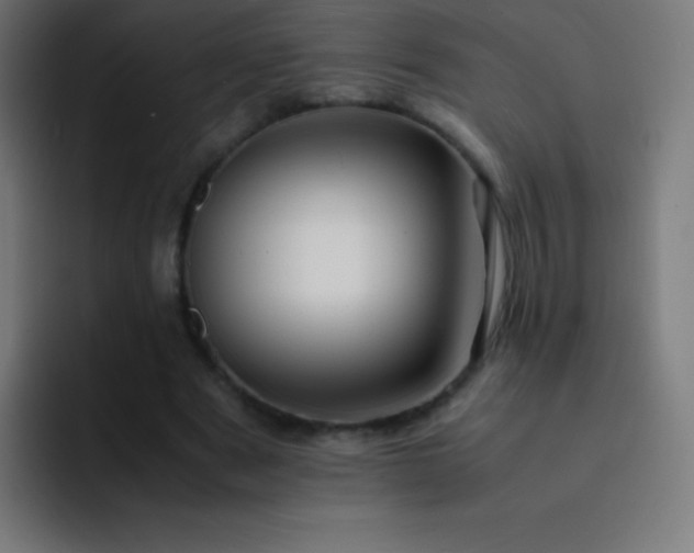 X0000093240489200710101424