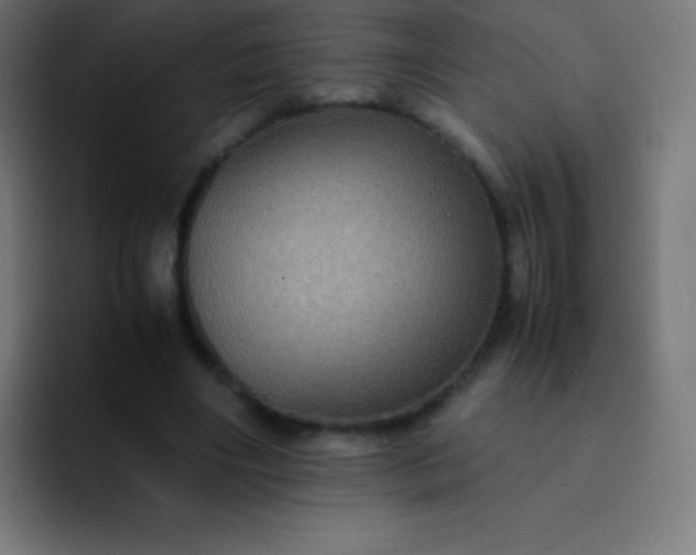 X0000093240490200710101424