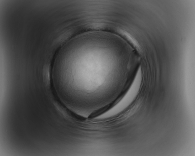 X0000093240493200710101424