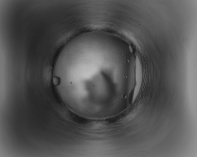 X0000093240495200710101424