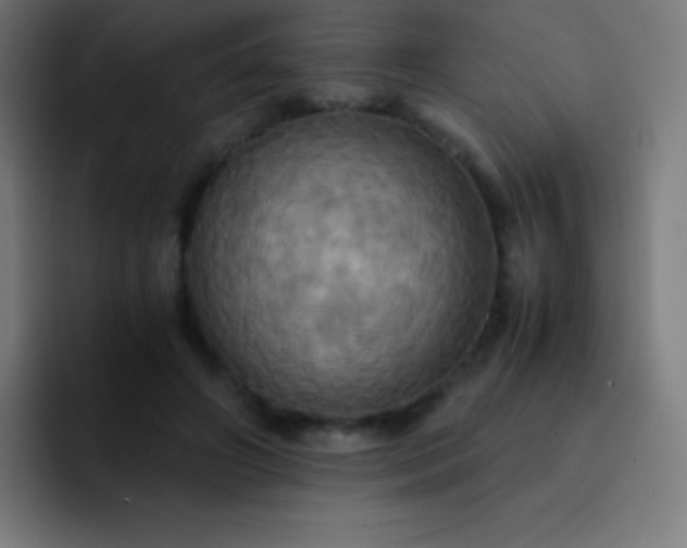 X0000093240498200710101424