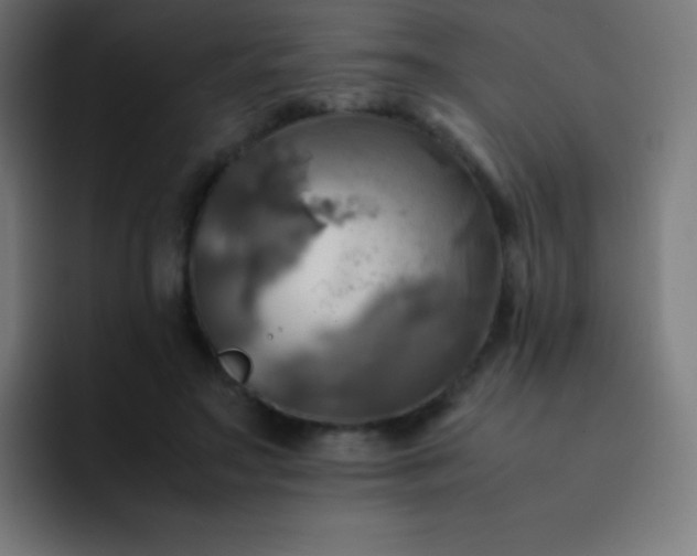 X0000093240499200710101424