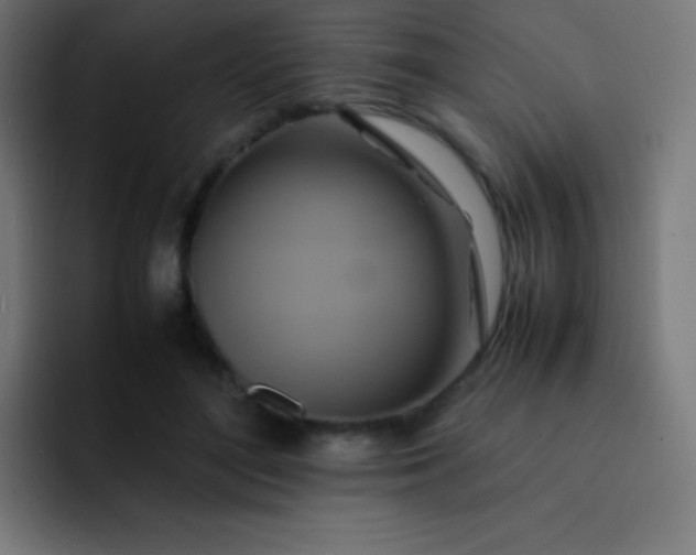 X0000093240500200710101424
