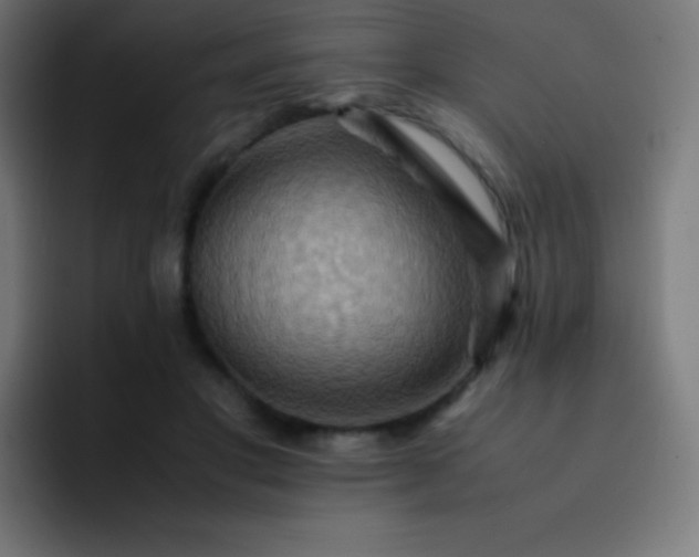 X0000093240501200710101424