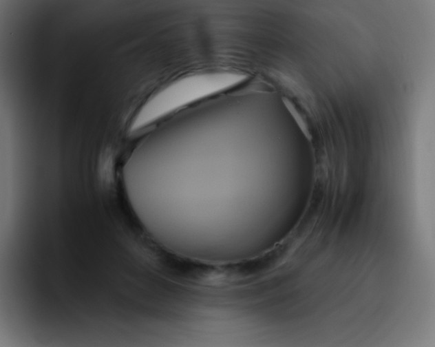 X0000093240504200710101424