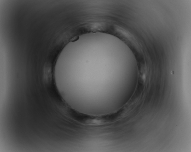 X0000093240506200710101424