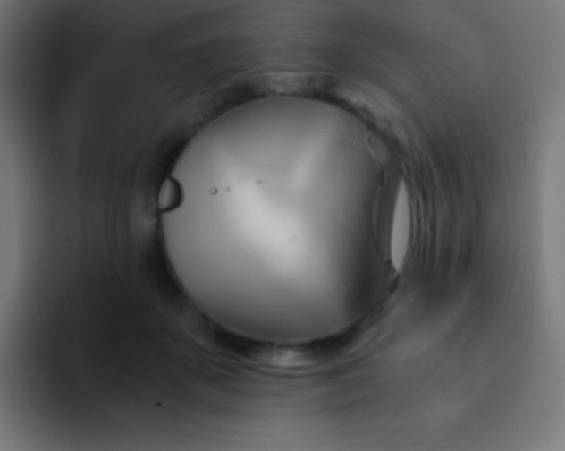 X0000093240507200710101424