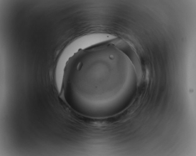 X0000093240508200710101424