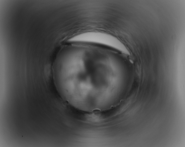 X0000093240511200710101424
