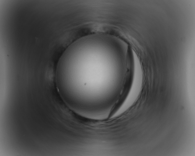 X0000093240513200710101424