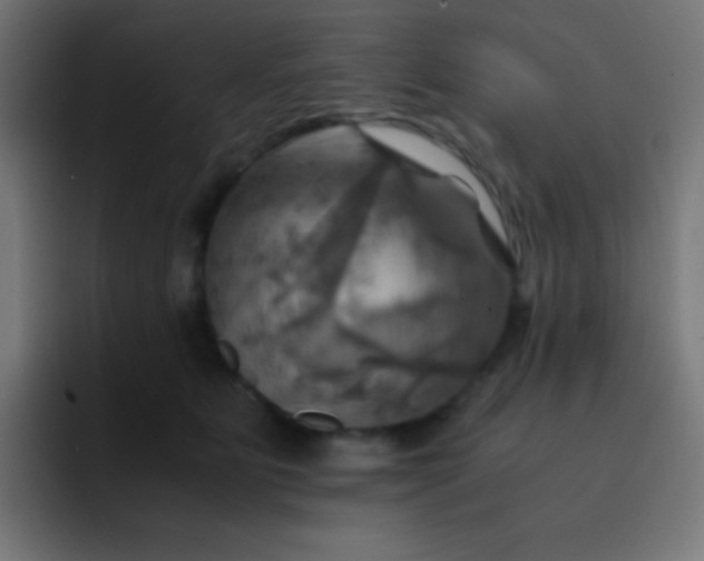 X0000093240515200710101424
