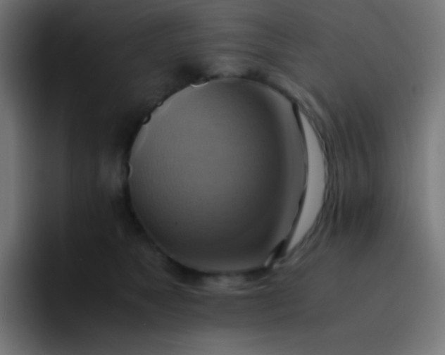 X0000093240517200710101424