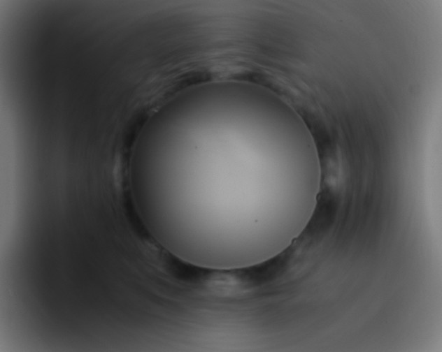 X0000093240519200710101424