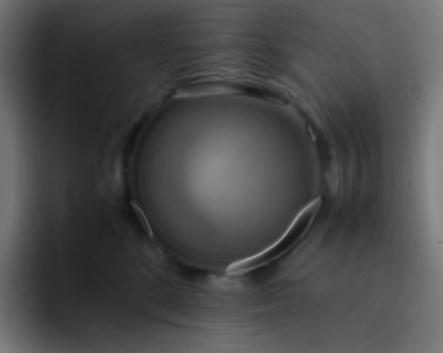 X0000093240520200710101424