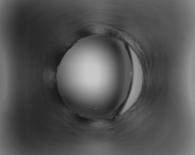 X0000093240521200710101424