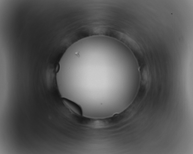 X0000093240522200710101424