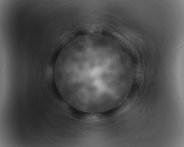 X0000093240523200710101424