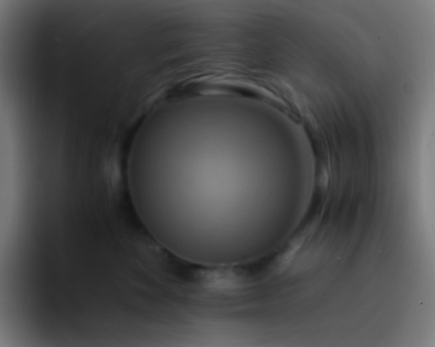 X0000093240524200710101424