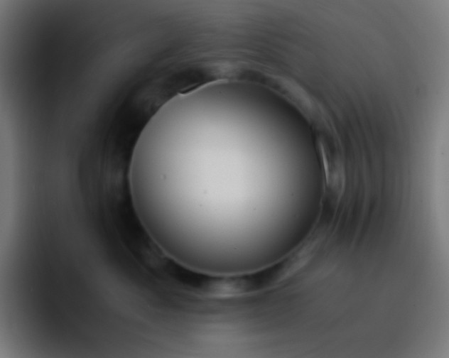 X0000093240525200710101424