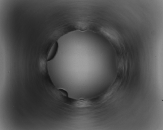 X0000093240526200710101424
