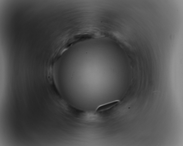 X0000093240528200710101424