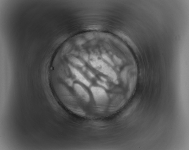 X0000093240529200710101423