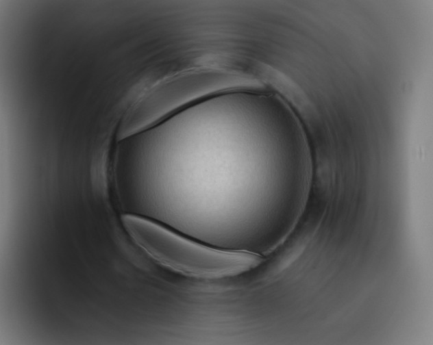 X0000093240530200710101423