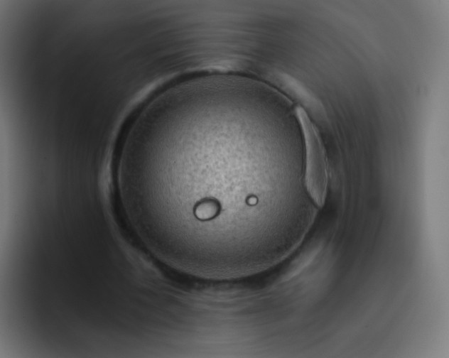 X0000093240532200710101423