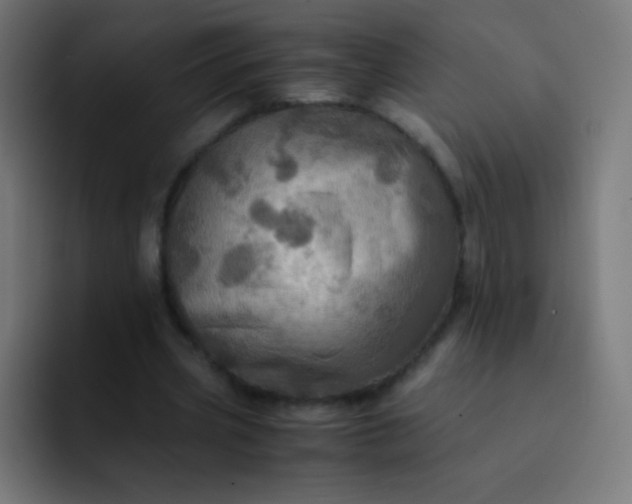 X0000093240533200710101423