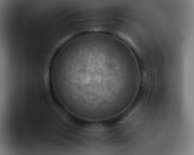 X0000093240535200710101423