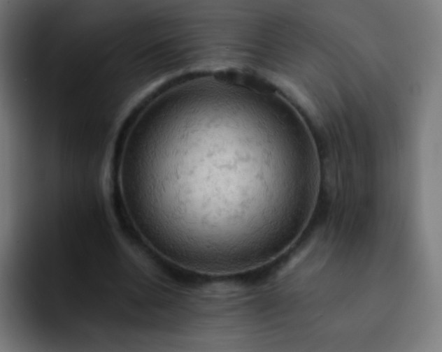 X0000093240536200710101423